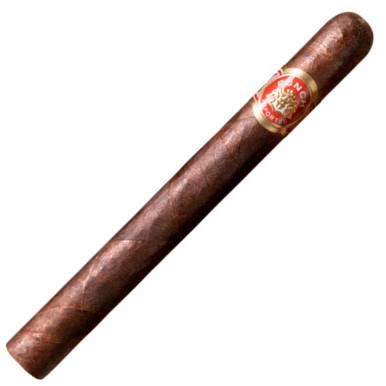 Punch Classic Maduro